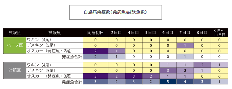 キョーリン 白点病